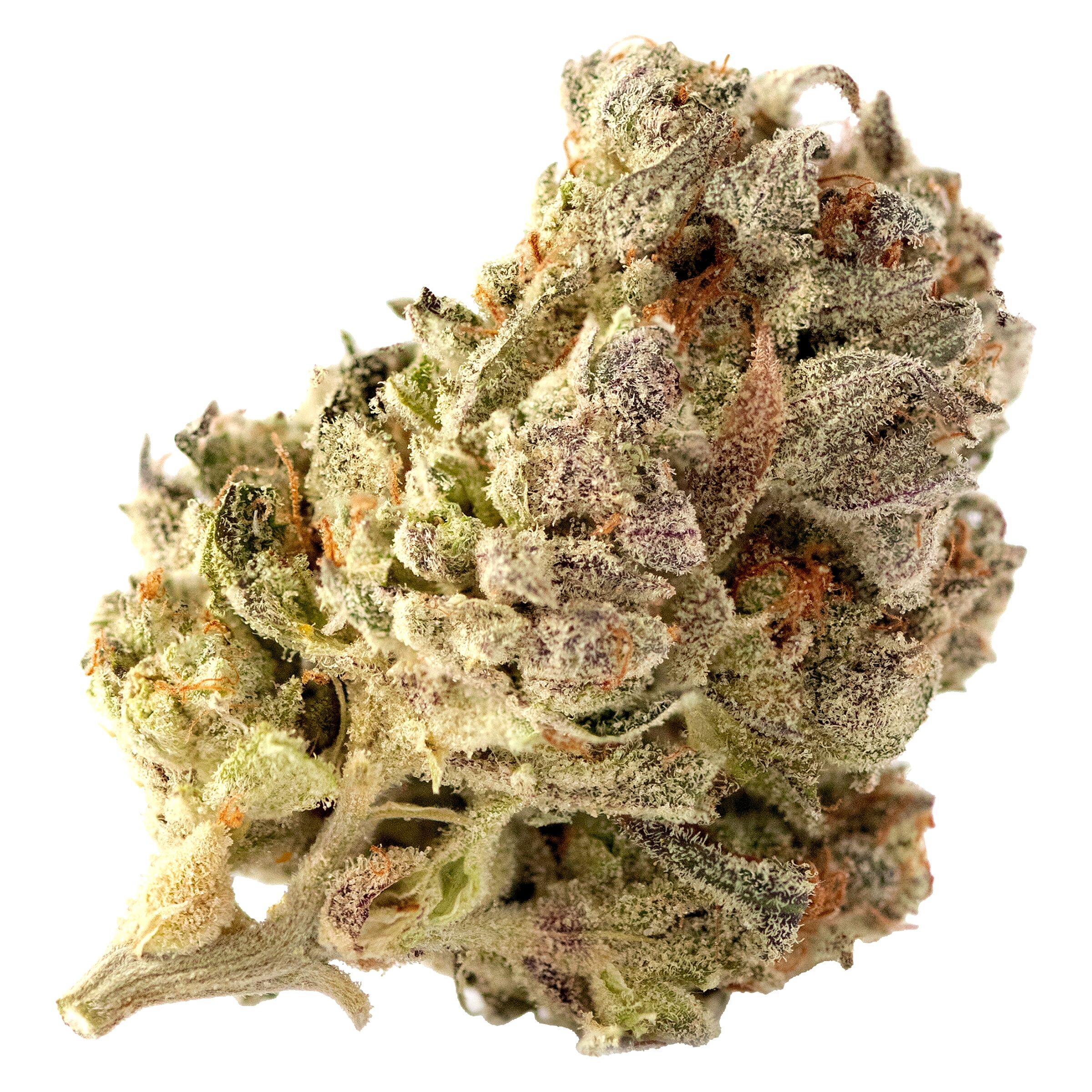 Highland Special - Cherry Park Pie