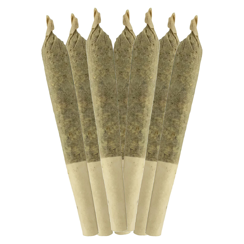 Sheeesh! - Jungle Kush Pre-Roll - Indica - 20x0.35g