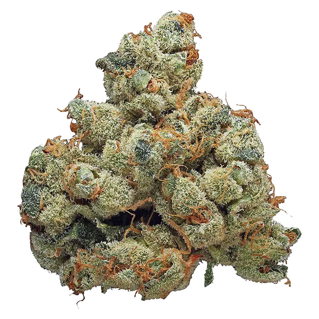 WINK - Rocket Candy