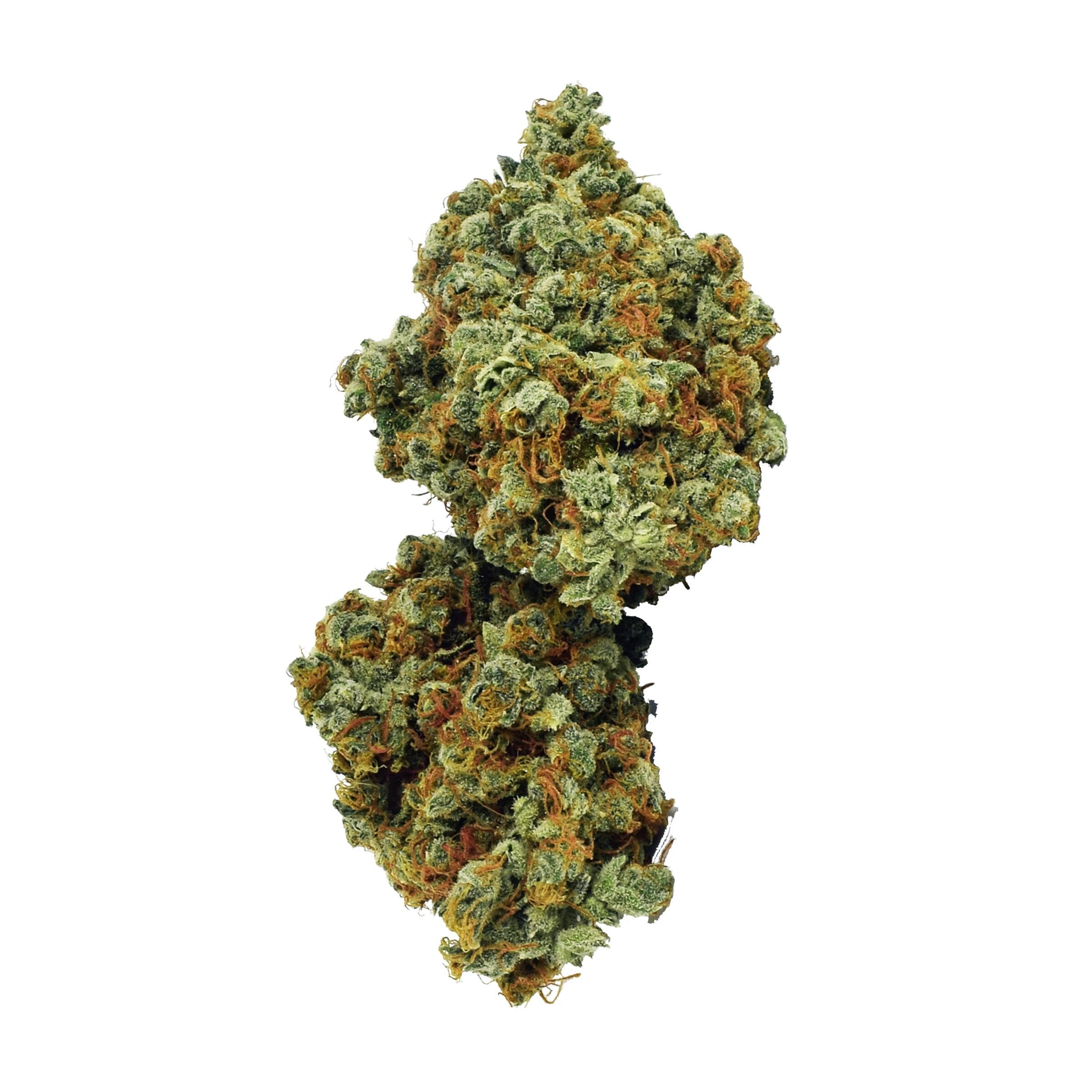 Broken Coast - Northern Lights Haze (Galiano)
