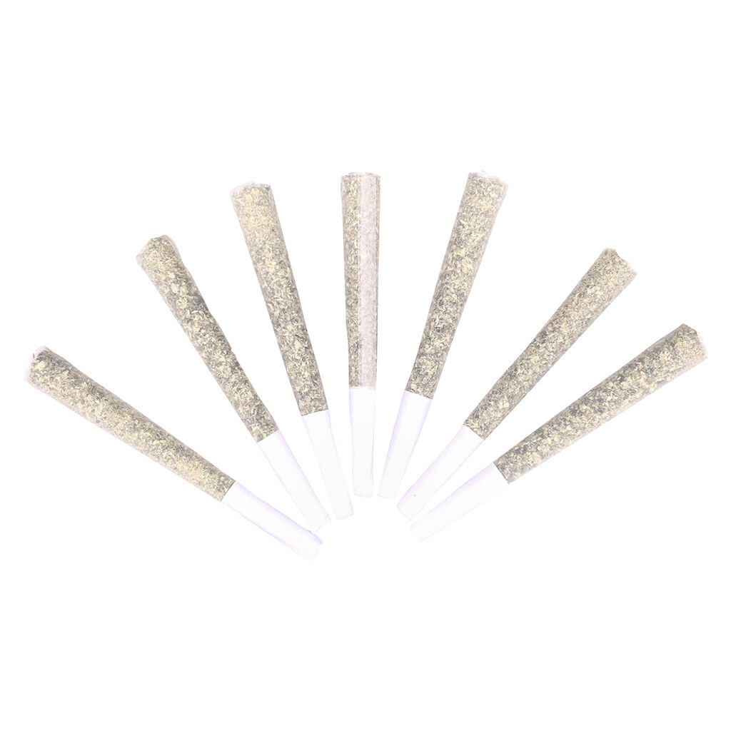 FLHIGH - Lex Luthor Aces - Indica - 1x1g