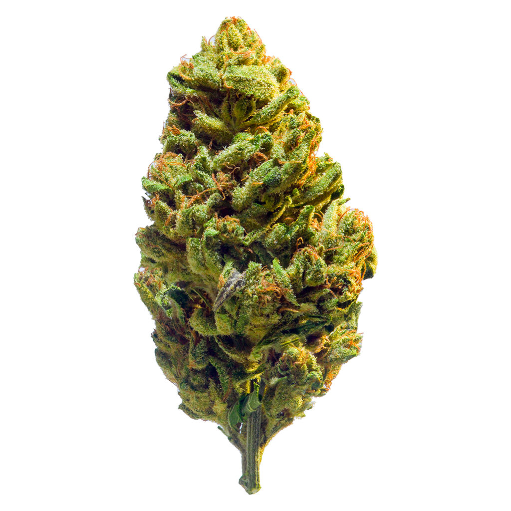 Redecan - 1:1