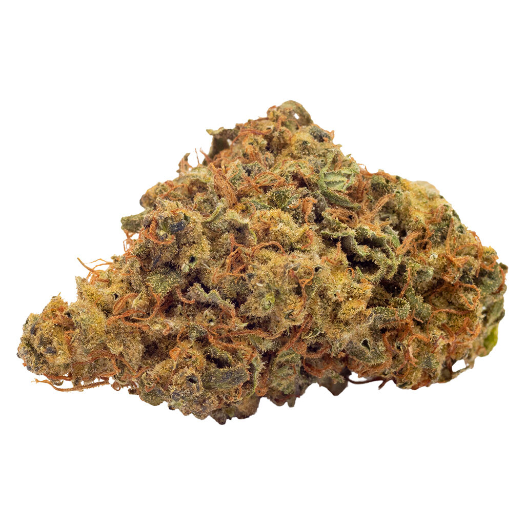 FIGR - Go Play Coastal Sage