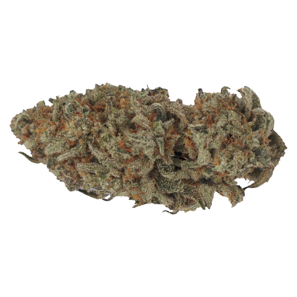 Oceanic - Premium Craft