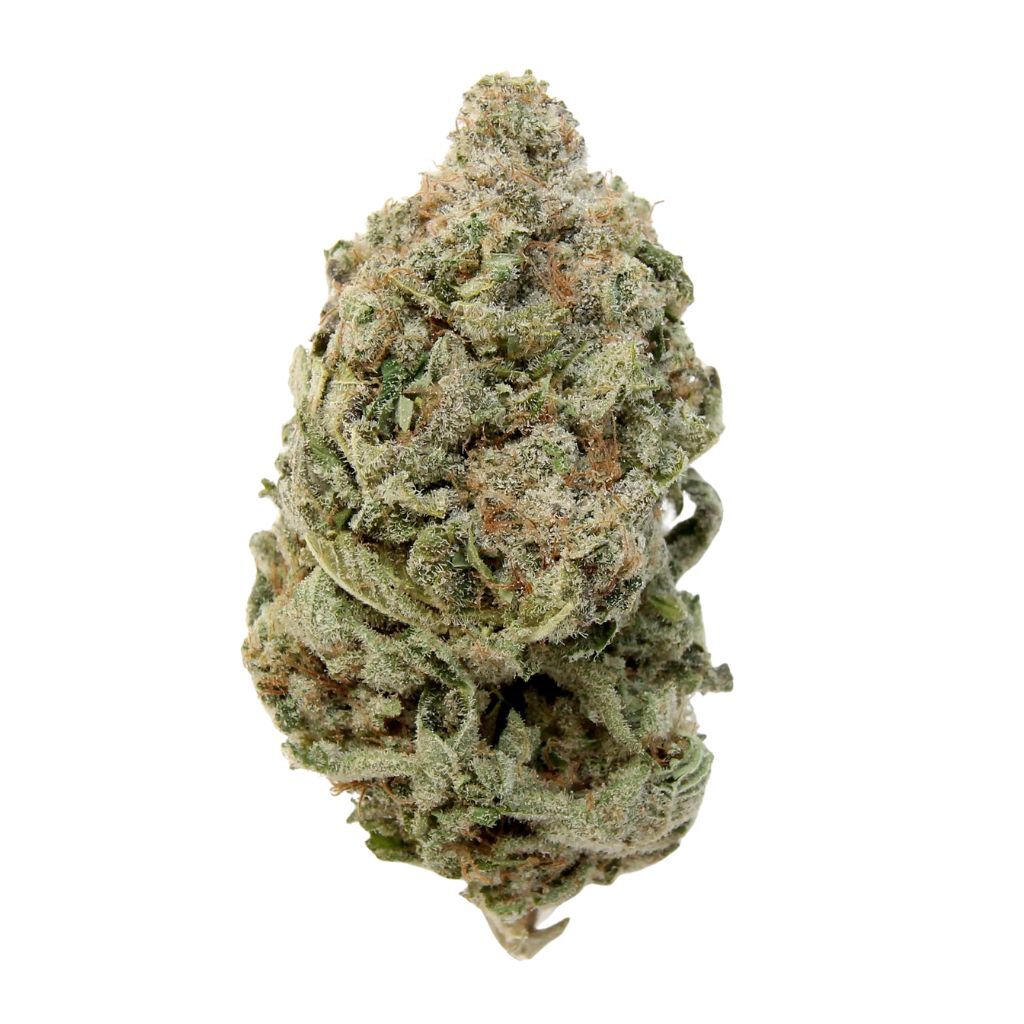 Choice Growers - Grapefruit God Bud 2.0