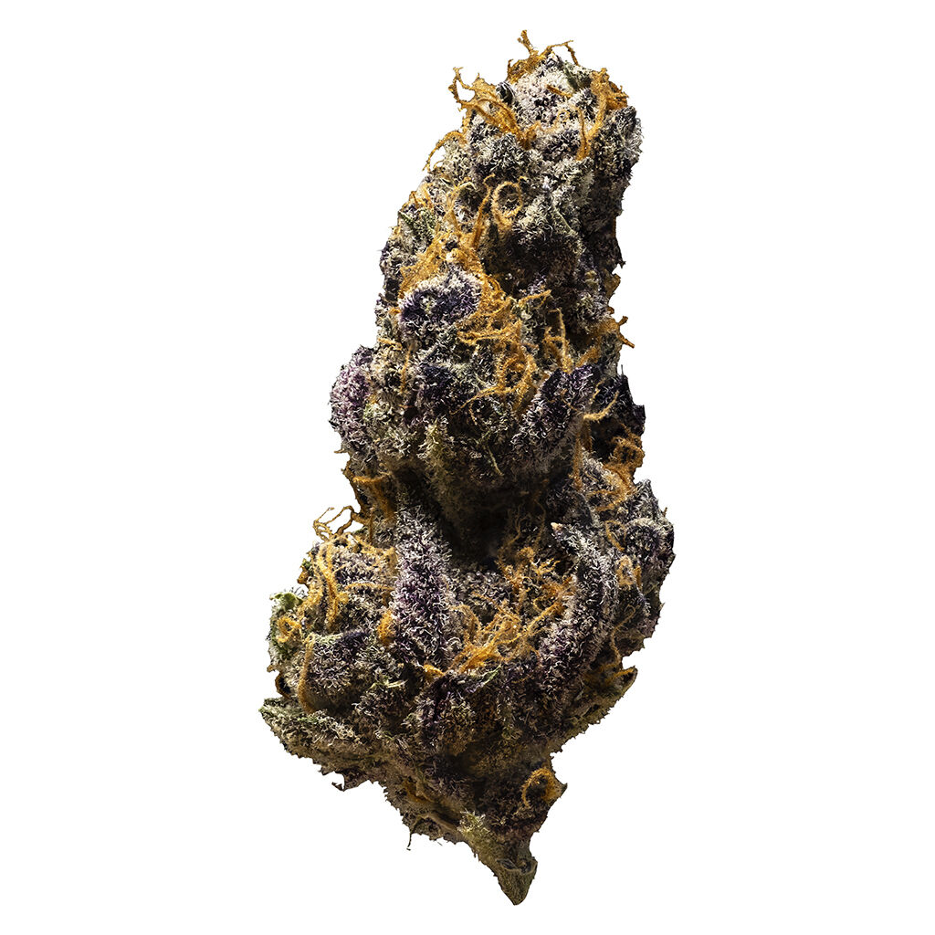 3rd Coast Genetics - Black Cheese