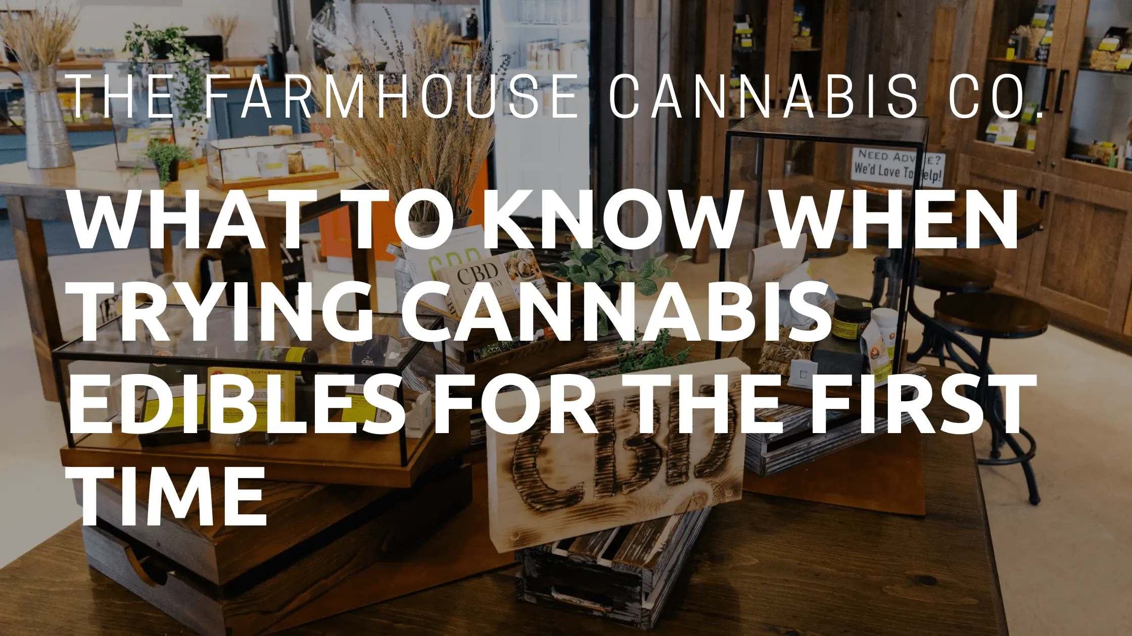 What to Know When Trying Cannabis Edibles for the First Time Cannabis Dispensary Guide