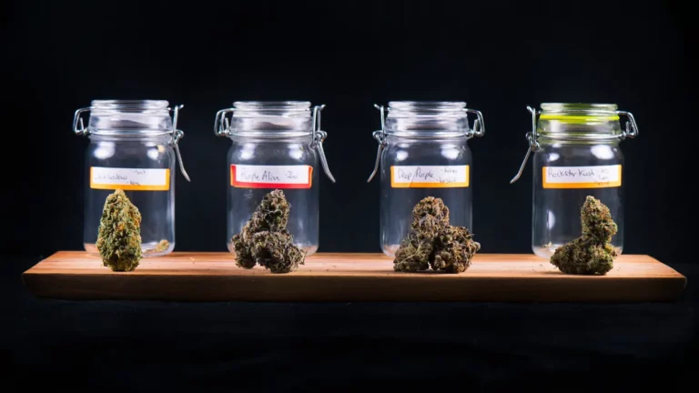 Assorted cannabis strains showcasing the diversity in color and texture