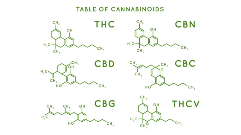 Chemical structure diagrams of THC and CBD, the main cannabinoids found in cannabis