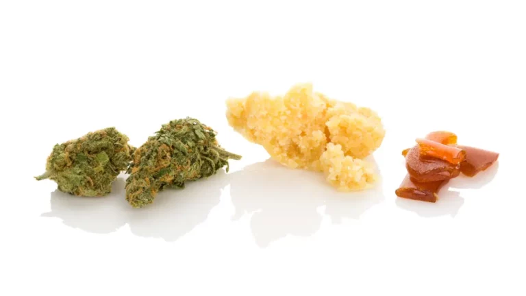 Side-by-side comparison of cannabis concentrates, rosin and resin
