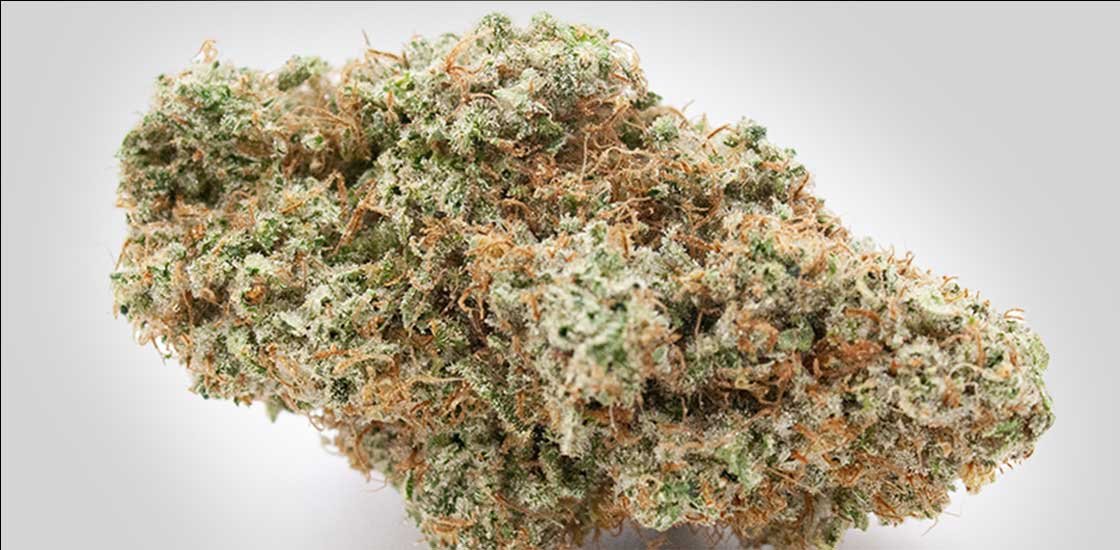 Mango Sour weed bud by East Cann sold at The Farmhouse Cannabis dispensary and weed store in Port Credit Mississauga