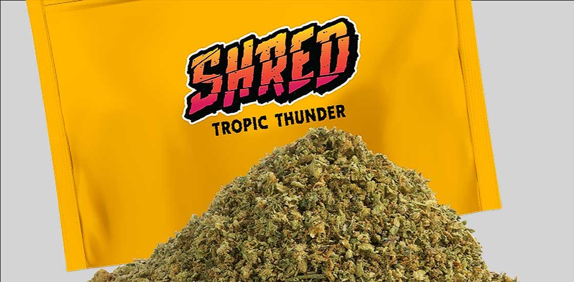 Tropic-Thunder strain by Shred at Port Credit Dispensary weed store The Farmhouse Cannabis dispensary